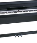 Hình ảnh: Đàn Piano điện Roland DB-990