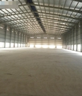Hình ảnh: Cho thuê xưởng tại Xuân Vinh, Thọ Xuân Thanh Hóa 2010m2 khuôn viên 4000m2