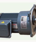 Hình ảnh: Motor giảm tốc Tunglee