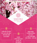 Hình ảnh: Sakura Central Park Phố thương mại trong lòng Cocobay Đà Nẵng