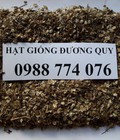 Hình ảnh: Hạt giống cây dược liệu