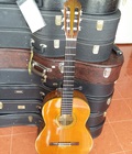 Hình ảnh: Shinano guitar SC 25 Nhật