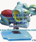 Hình ảnh: Thú nhún cho bé , thú nhún các con thú dễ thương