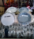 Hình ảnh: Trống lục lạc gõ bo inox Yamaha