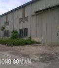 Hình ảnh: Cho thuê xưởng 6200m2 tại Hoằng Hóa Thanh Hóa với giá cực rẻ