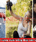 Hình ảnh: Định cư New Zealand bằng nghề trồng nho, sản xuất rượu, nuôi trồng thủy sản