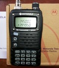 Hình ảnh: Bộ đàm cầm tay chính hãng Motorola-GP301 