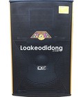 Hình ảnh: Loa karaoke gia đình CXF-1015 4 tấc