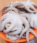 Hình ảnh: Chuyên cung cấp bạch tuộc xô đông giao hàng tận nơi phí ship tùy khu vực