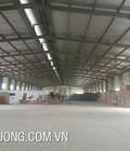 Hình ảnh: Cho thuê đất và nhà xưởng tại Tân Yên, Bắc Giang với giá cực hợp lý