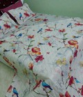 Hình ảnh: xả kho giảm 70% bộ chăn ga gối cotton poly  hè thu 5 món