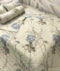 Hình ảnh: xả kho giảm 70% bộ chăn ga gối cotton poly hè thu 5 món