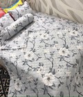 Hình ảnh: xả kho giảm 70% bộ chăn ga gối cotton poly hè thu 5 món