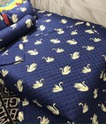 Hình ảnh: xả kho giảm 70% bộ chăn ga gối cotton poly hè thu 5 món