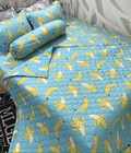 Hình ảnh: xả kho giảm 70% bộ chăn ga gối cotton poly hè thu 5 món