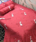 Hình ảnh: xả kho giảm 70% bộ chăn ga gối cotton poly hè thu 5 món