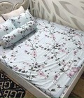 Hình ảnh: xả kho giảm 70% bộ chăn ga gối cotton poly hè thu 5 món