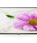 Hình ảnh: Đại lý cấp 1 phân phối TIVI LG 32LJ510D 32 inch giá rẻ cho dự án