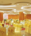 Hình ảnh: Giảm 30% cho sp ghế nhà hàng