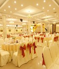 Hình ảnh: Ghế Nhà Hàng Cao Cấp Giá Xưởng 