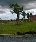 Hình ảnh: Chính chủ cần bán đất nển thổ cư SHR TT Đức Hòa Long An giá tốt nhất thị trường