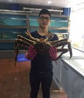 Hình ảnh: Cua hoàng đế