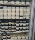 Hình ảnh: Nhà phân phối sữa chua nếp cẩm Mộc Châu và sữa chua nếp cẩm Ba Vì giá rẻ nhất thị trường
