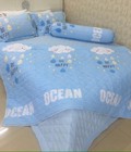 Hình ảnh: Bộ chăn ga gối đũi trần bông, chăn lồng được ruột
