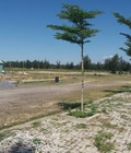 Hình ảnh: Bán đất ven biển Đà Nẵng, mở Block đối diện thương mại ngay sau Cocobay, ven sông cổ cò