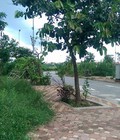 Hình ảnh: Cần tiền bán nhà ở tdp an đào, trâu quỳ, diện tích 54,7 m2 mặt tiền 3,8 m. giá 2,6 tỷ.