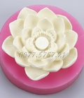 Hình ảnh: Khuôn rau câu Silicon Hoa Sen – Mã số 40 - 1