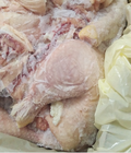 Hình ảnh: Đại lý cung cấp gà đông lạnh