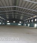 Hình ảnh: Cho thuê xưởng giá rẻ trong KCN Bình Xuyên, Vĩnh Phúc