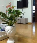 Hình ảnh: Bán gấp căn hộ tòa CT12 CC Kim Văn Kim Lũ ,nhà đã sửa lại đẹp ,tầng 36