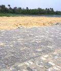 Hình ảnh: 700tr/nền giá chưa từng có ở Danang pearl Đất ven sông cổ cò
