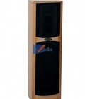 Hình ảnh: Loa Karaoke Acotech A-90II