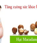 Hình ảnh: Hạt macca mua ở đâu uy tín Hạt macca có tác dụng gì