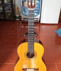 Hình ảnh: Yamaha Grand Concert guitar GD 20