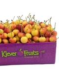 Hình ảnh: Cherry Vàng Canada đã về tới Klever Fruits