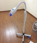 Hình ảnh: Máy tẩy trắng răng