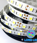 Hình ảnh: Led dây dàn 12V 5054 siêu sáng