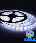 Hình ảnh: Led cuộn 5m mắt 3528 điện 12v trắng