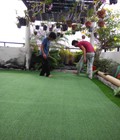 Hình ảnh: Nhận thiết kế, thi công sân mini golf