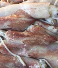 Hình ảnh: Chuyên cung cấp mực ống làm lẩu, sashimi, cho nhà hàng