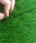 Hình ảnh: Cỏ nhân tạo sân bóng