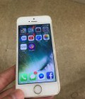 Hình ảnh: Ip5 quốc tế.