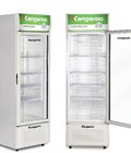 Hình ảnh: Tủ mát Kangaroo kháng khuẩn 290L KG359AT Cánh kính,Dàn nhôm