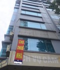 Hình ảnh: Cho thuê vp cả nhà or từng tầng tạo phố Phan Văn Trường Cầu Giấy