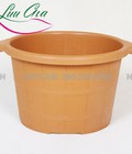 Hình ảnh: Cung cấp chậu ngâm chân,thuốc ngâm chân tại quảng ninh.