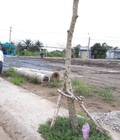 Hình ảnh: Bán nhà 2 lầu shr, dt: 5x18 90m2, mặt tiền đường TN1, hóc môn